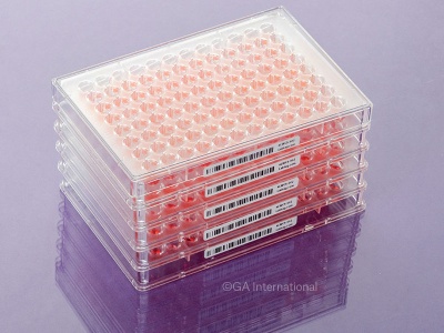 Dymo Cryogenic Microplate Labels - 51mm x 6mm